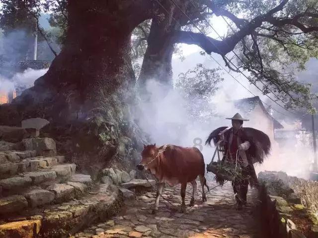 荣耀之剑中文版
