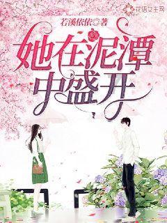 香气扑鼻，回味无穷！炊小煲特色牛腩煲品鉴