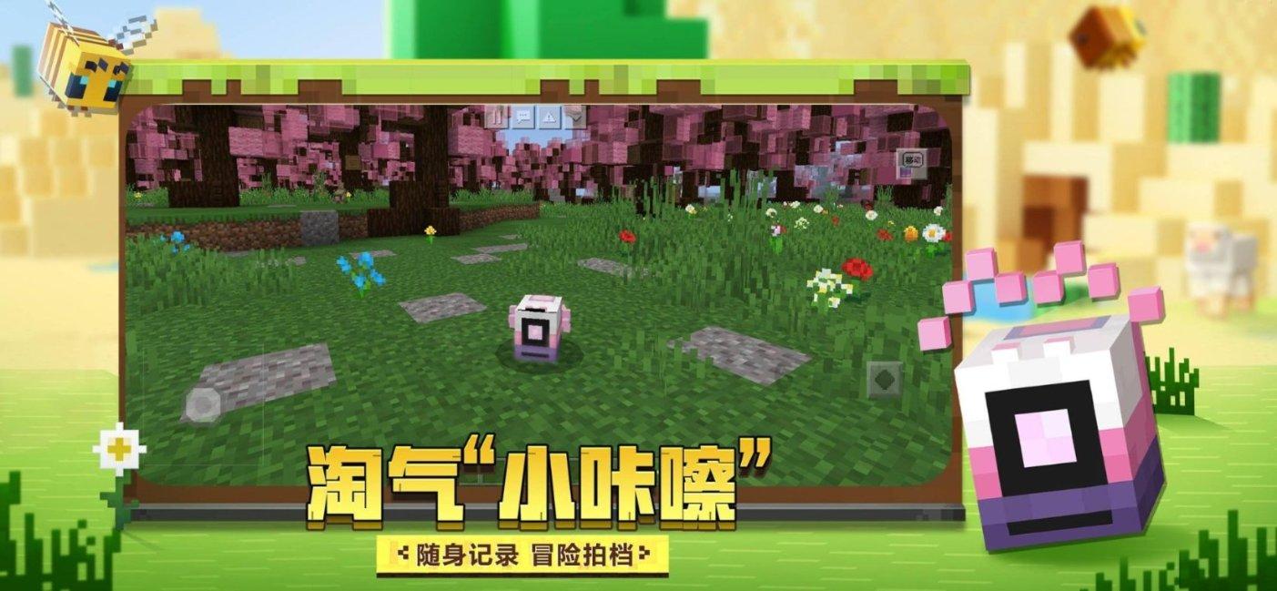 少读红楼:癞头和尚和跛足道人的真身与幻象