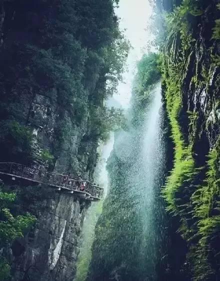 拯救精灵的土地7